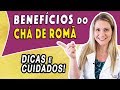Benefícios do Chá de Romã - Para Que Serve e Como Fazer [EMAGRECE?]
