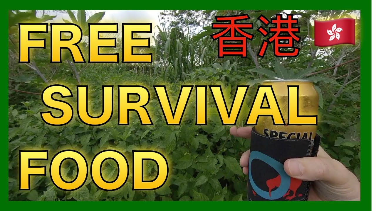 🇭🇰Survival Food Guide to Free Edible Wild Plants in Hong Kong YouTube