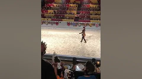 Medieval Times - Falcon