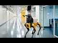 Paging doctor Spot! Boston Dynamics' robot dog is 'sniffing' out coronavirus symptoms in patients from over six feet away at Massachusetts hospital