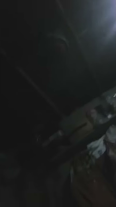 Zxxx