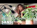 Set Up LED Grow Light SANSI for Carnivorous Venus Flytraps & Indoor Plants