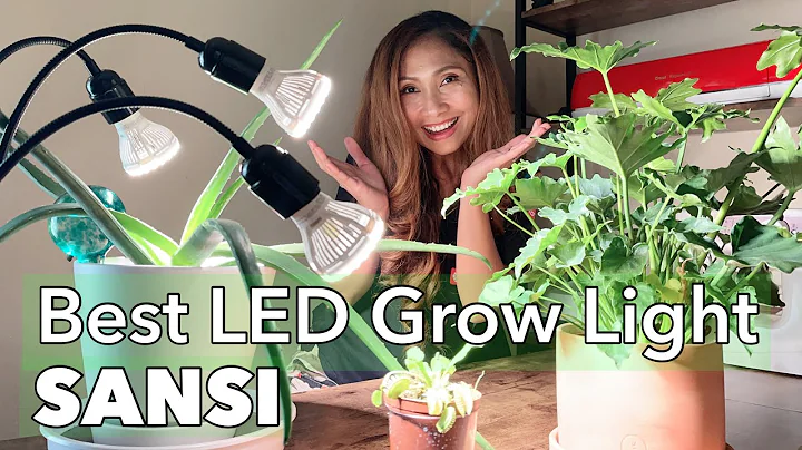 Set Up LED Grow Light SANSI for Carnivorous & Indoor Plants #gardenideas