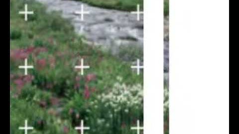 Yanni(WITHIN ATTRACTION)