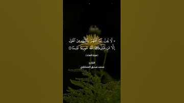 القران الكريم/ سورة النساء/ آيه ١٤٨#المنشاوي #القرآن_الكريم #اكسبلور #لايك #العراق #duet #تيك_توك