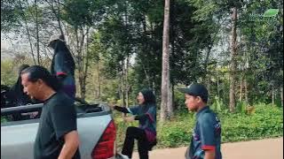Sekolah Rimba Malaysia siri 3: Rimbagogi STEM