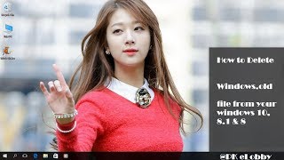 How to Delete Windows.old via the Command Prompt