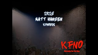 Matt Hansen - Iris [karaoke]