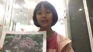 CHI LAN - D1 2502 - RECORDING 3