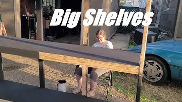 Building Reptile Enclosure Shelves