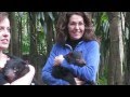 Tasmanian Devils Cuddle And Play With Visitors At The Australia Zoo