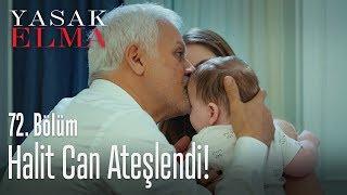 Halit Can ateşlendi! - Yasak Elma 72. Bölüm