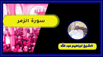 سورة الزمر  ماتيسر من سورة الزمر تلاوة  خاشعة و تجويد للشيخ ابراهيم عبد الله