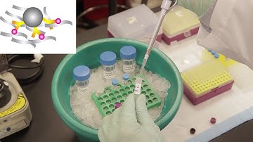 PTMScan® Proteomics of Post-translational Modifications from Cell Signaling Technology