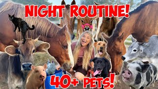 Last Night Routine Before having THE BARN! | Feeding All My Pets, Tack Haul, 40+ Cute Animals!