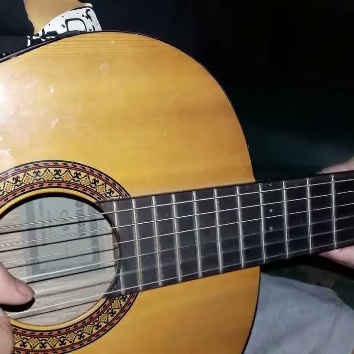 cover gitar cocok buat setory wa