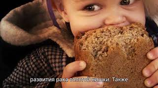 Сборник фактов 172 #shorts #животные #факты #faktiki