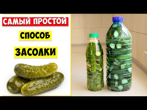 Самый Простой Способ ЗАСОЛКИ ОГУРЦОВ на Зиму! Огурцы в Пластиковой Бутылке!