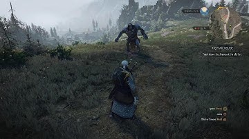 The Witcher 3: Wild Hunt - Random Cyclops Encounter (1 Shot LOL)