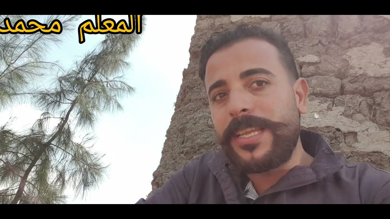 حمار مسكين😭   زلطة وقفت الحمار نهائي شاهد المسكين