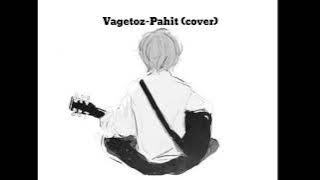 Vagetoz-Pahit (akustik cover)