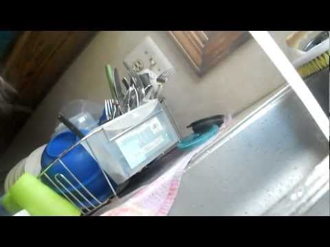 Allie S Cinnamon Challenge