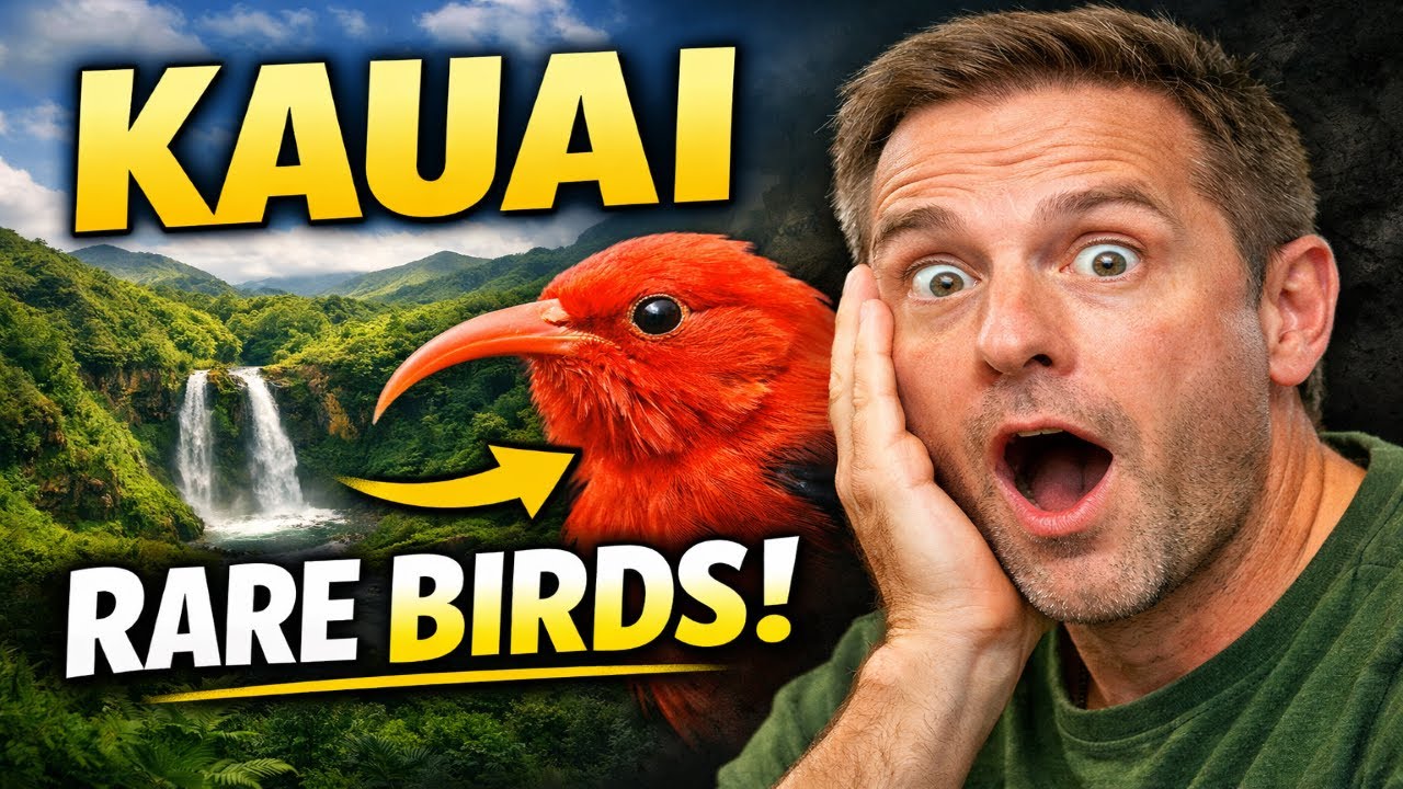 Kauai for Bird Watchers: The Ultimate Birding Guide to the Garden Isle ...