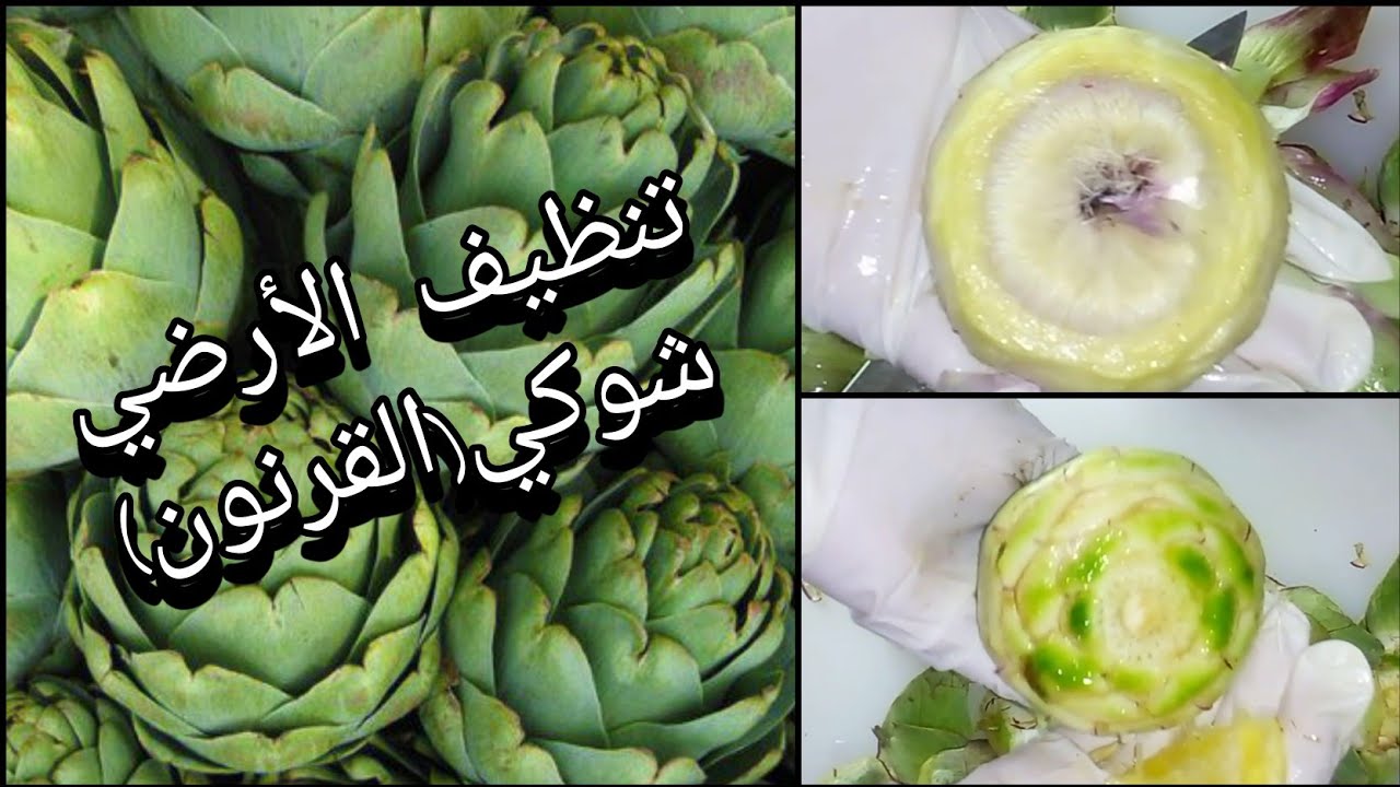 طريقة تنظيف القرنون/الأرضي شوكي😉/الخرشوف👌🏻شرح مفصل للمبتدئات👰🏻و سر بقائه أبيض و ناصع  كالثلج🤫