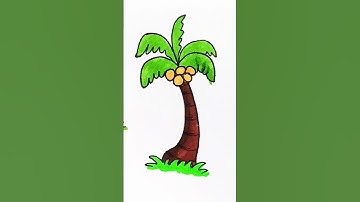 🥥 🌴 Coconut tree 🌴 drawing and colouring