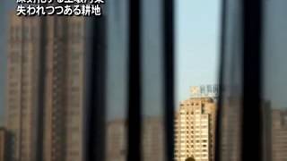 【禁聞】深刻化する土壌汚染 失われつつある耕地