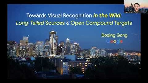 Towards Visual Recognition in the Wild: Long-Tailed Sources and Open Compound Targets