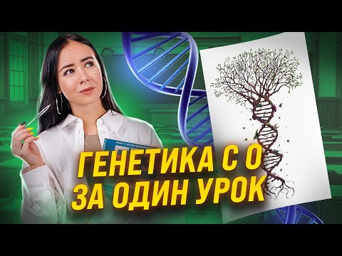Генетика с нуля | Биология ЕГЭ