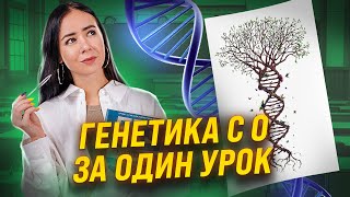 Генетика с нуля | Биология ЕГЭ