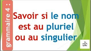 grammaire 4 :Savoir si un nom est au pluriel ou au singulier  معرفة هل الإسم مفرد أو جمع