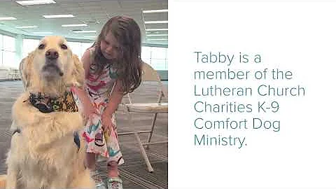 Tabby the Comfort Dog Visits COVID-19 Vaccine Clinic