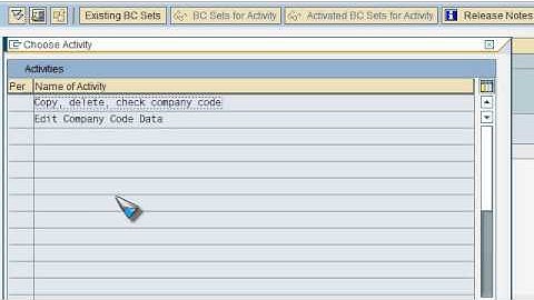 SAP FICO VIDEO TRAINING TUTORIALS 0002 COMPANY CODE CREATION EEC6 - BAYISETTI