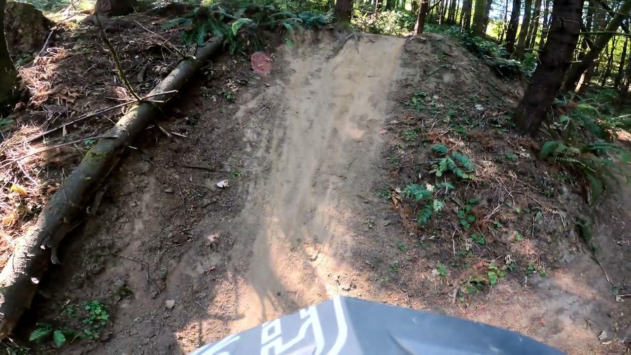 Phil's Shred Factory -- Rocky Point