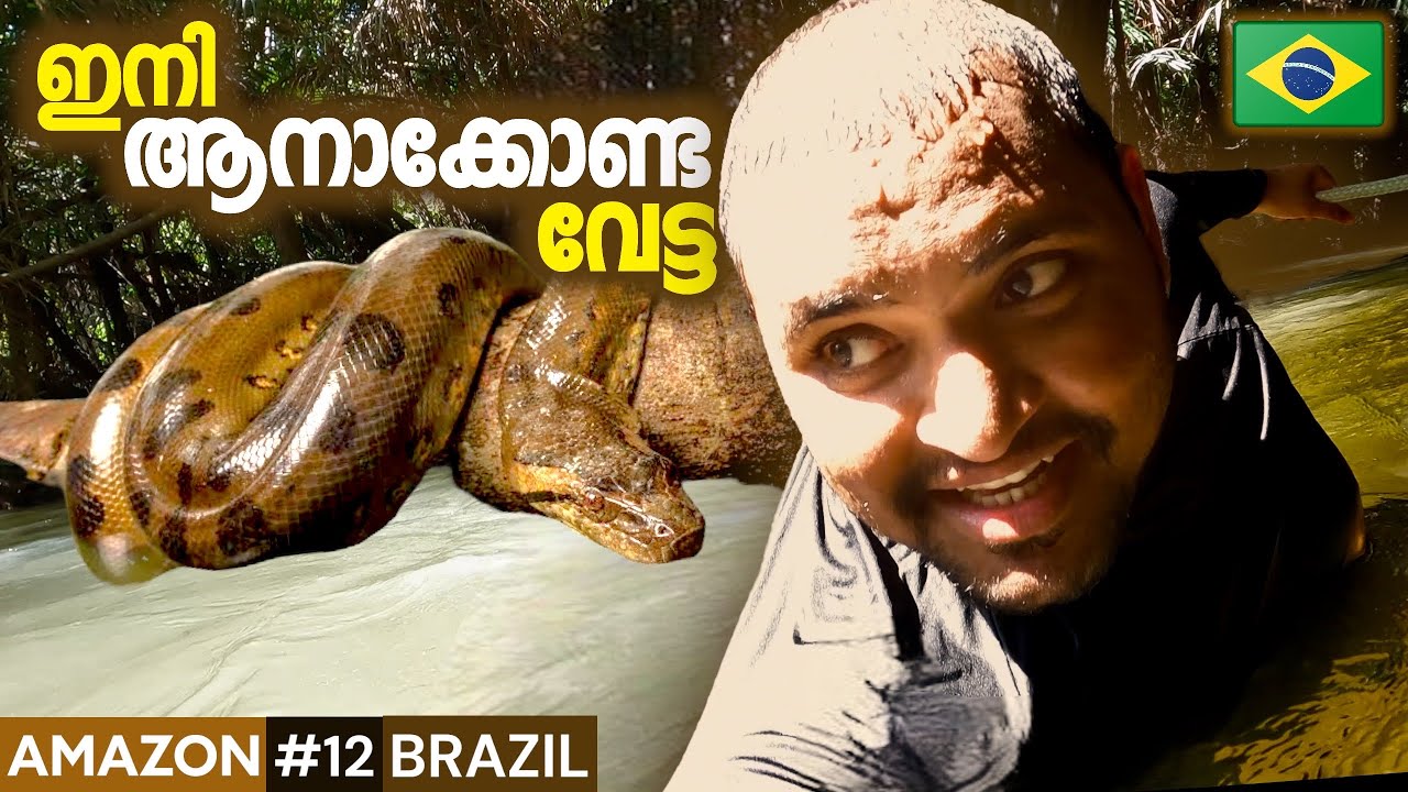 AMAZON#12 🇧🇷ആനാക്കോണ്ട വേട്ടാ 🔥 HUNTING ANACONDA IN BRAZIL 🇧🇷 