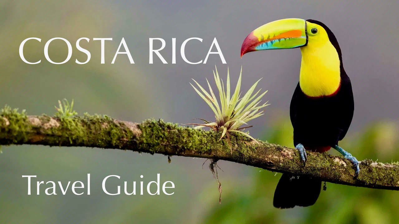 COSTA RICA Highlights: rainforest, beaches, wildlife & adventure tours