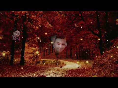 Young Lives Lost طوفان بپاکن Singer Foroozandeh Fay Officia Music Video