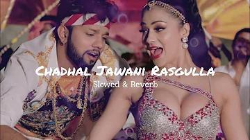 tohar chadhal jawani rasgulla || slowed and reverb || rasgulla bhojpuri song || (@happinessdk)