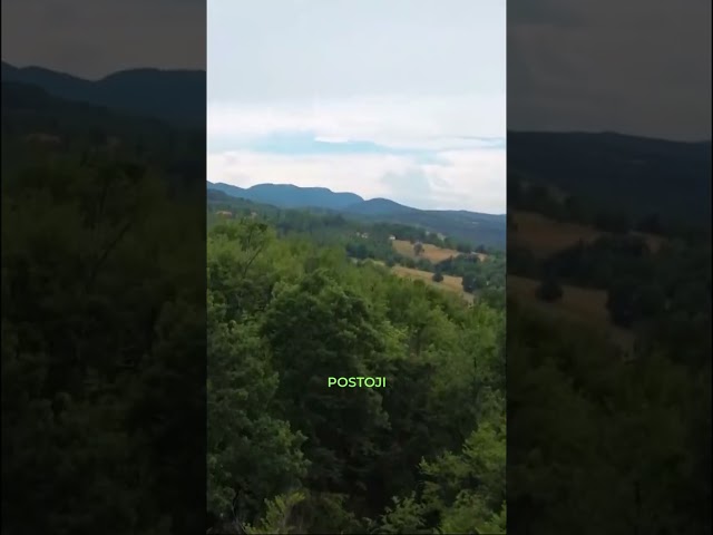 Hodanje je najzdraviji sport? #shorts