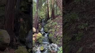 Cazadero, California ￼