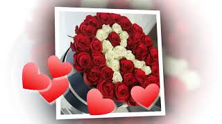 y2mate com   r letter whatsapp status whatsapp status r name  mTtXJIl9cw 360p