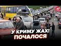 🔥ЗАРАЗ, АПОКАЛІПСИС у КРИМУ! БЕНЗИНУ НЕМАЄ НІДЕ (ВІДЕО). КІЛОМЕТРОВІ ЧЕРГИ: паніка всюди