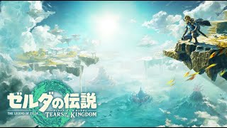 【初見】ゼルダの伝説　ティアーズオブザキングダム( ˘•ω•˘ )【part1】