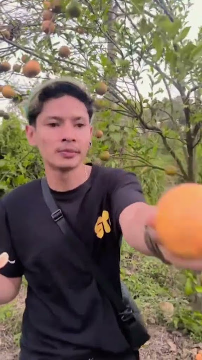 Jarot Joker maling jeruk 🤣 #jarotjoker #jarot #lucuabis #ngakak