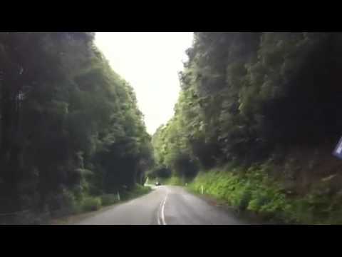 A Road in Central Tasmania