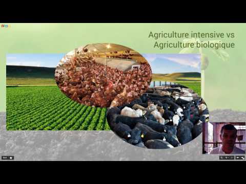 Vidéo: Quel régime est couvert par l'agriculture biologique ?