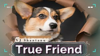 Dog Best Friend Forever ❗️ VJ Shantanu ❗️ #Dog#loyaldog#animal